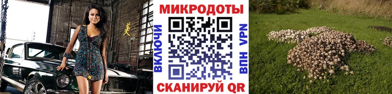 Псилоцибиновые грибы Psilocybe Духовщина